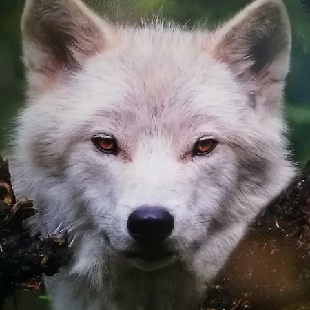 Apartamento Arctic Home, In The Centre, Free Parking Rovaniemi