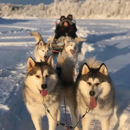 Apartment Arctic Home, In The Centre, Free Parking