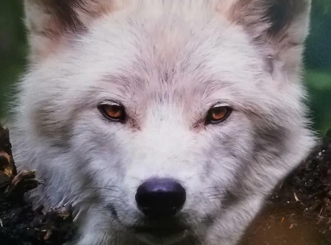 Διαμέρισμα Arctic Home, In The Centre, Free Parking Ροβανιέμι