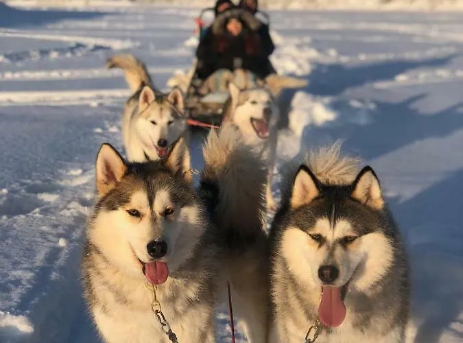 Διαμέρισμα Arctic Home, In The Centre, Free Parking