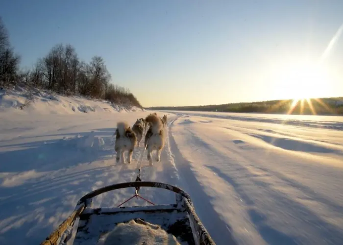 Διαμέρισμα Arctic Home, In The Centre, Free Parking *